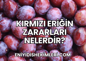 Kırmızı Eriğin Zararları Nelerdir?