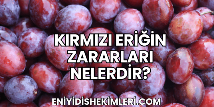 Kırmızı Eriğin Zararları Nelerdir?