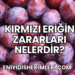 Kırmızı Eriğin Zararları Nelerdir?