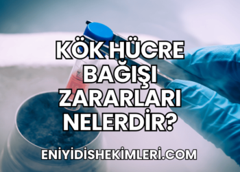 Kök Hücre Bağışı Zararları Nelerdir?