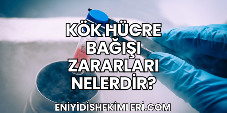 Kök Hücre Bağışı Zararları Nelerdir?