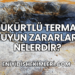 Kükürtlü Termal Suyun Zararları Nelerdir?