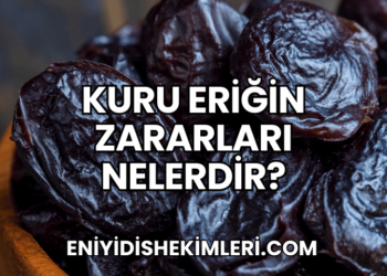 Kuru Eriğin Zararları Nelerdir?