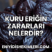 Kuru Eriğin Zararları Nelerdir?