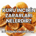 Kuru İncirin Zararları Nelerdir?