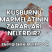 Kuşburnu Marmelatının Zararları Nelerdir?