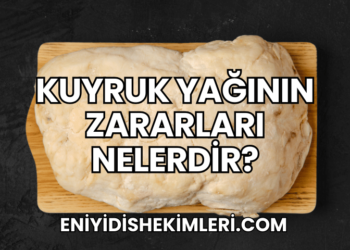 Kuyruk Yağının Zararları Nelerdir?