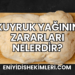 Kuyruk Yağının Zararları Nelerdir?
