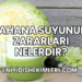 Lahana Suyunun Zararları Nelerdir?