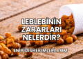 Leblebinin Zararları Nelerdir?