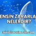 Lensin Zararları Nelerdir?