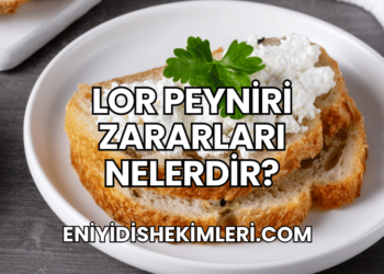 Lor Peyniri Zararları Nelerdir?