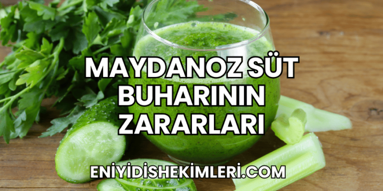 Maydanoz Süt Buharının Zararları