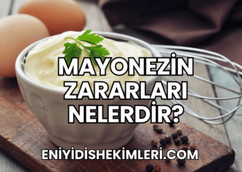 Mayonezin Zararları Nelerdir?