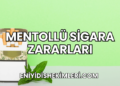 Mentollü Sigara Zararları
