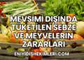 Mevsimi Dışında Tüketilen Sebze ve Meyvelerin Zararları