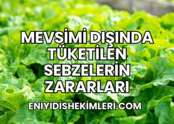 Mevsimi Dışında Tüketilen Sebzelerin Zararları