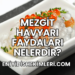 Mezgit Havyarı Faydaları Nelerdir?