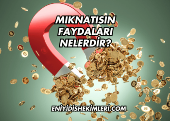 Mıknatısın Faydaları Nelerdir?