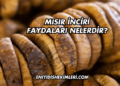 Mısır İnciri Faydaları Nelerdir?