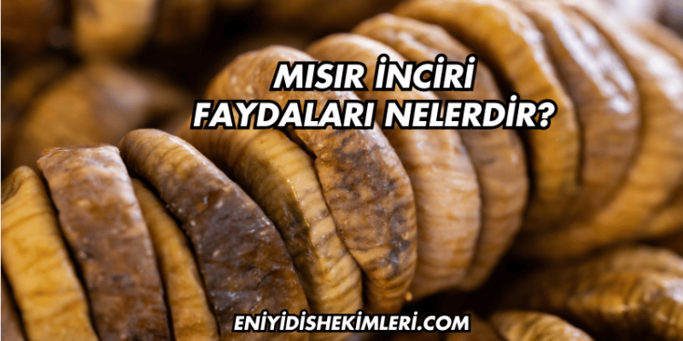 Mısır İnciri Faydaları Nelerdir?