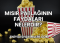 Mısır Patlağının Faydaları Nelerdir?