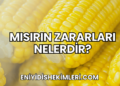 Mısırın Zararları Nelerdir?