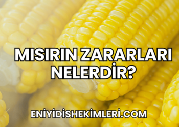 Mısırın Zararları Nelerdir?