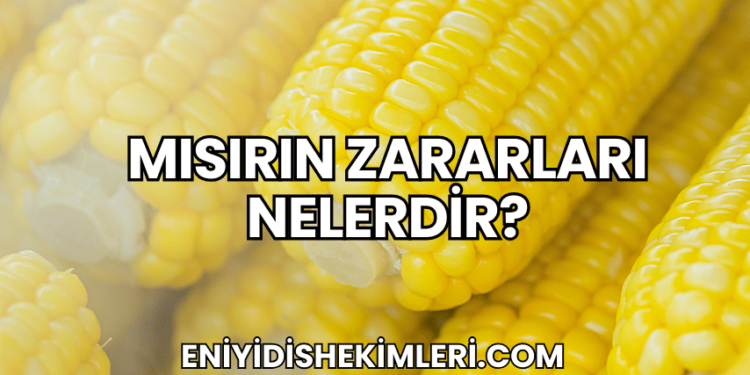 Mısırın Zararları Nelerdir?