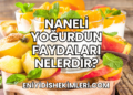 Naneli Yoğurdun Faydaları Nelerdir?