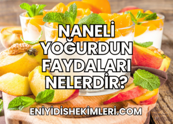 Naneli Yoğurdun Faydaları Nelerdir?