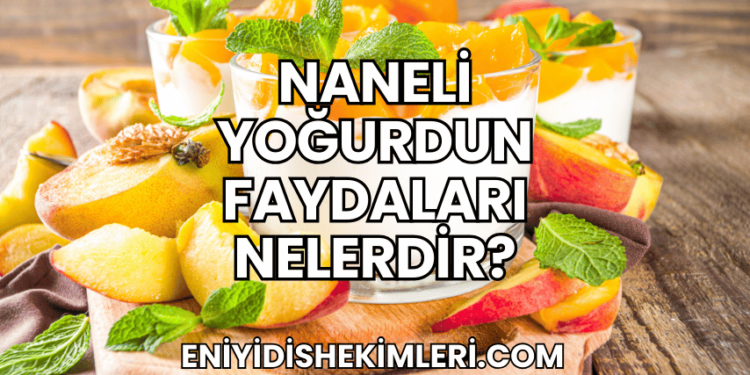 Naneli Yoğurdun Faydaları Nelerdir?