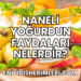 Naneli Yoğurdun Faydaları Nelerdir?