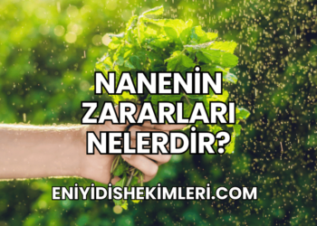 Nanenin Zararları Nelerdir?