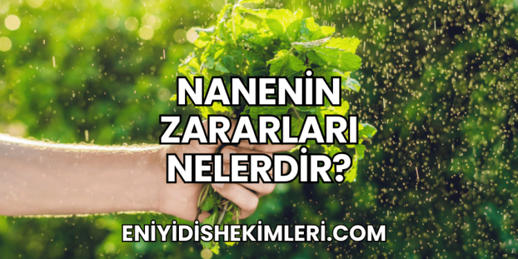 Nanenin Zararları Nelerdir?