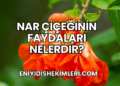 Nar Çiçeğinin Faydaları Nelerdir?