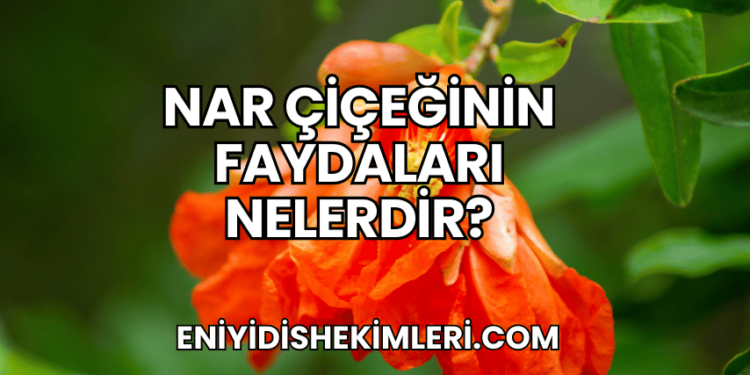 Nar Çiçeğinin Faydaları Nelerdir?