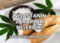 Nişastanın Zararları Nelerdir?