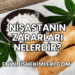Nişastanın Zararları Nelerdir?