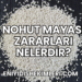 Nohut Mayası Zararları Nelerdir?