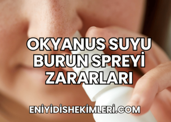 Okyanus Suyu Burun Spreyi Zararları