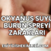 Okyanus Suyu Burun Spreyi Zararları