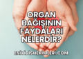 Organ Bağışının Faydaları Nelerdir?