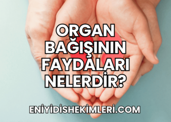 Organ Bağışının Faydaları Nelerdir?