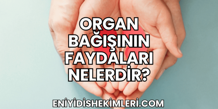 Organ Bağışının Faydaları Nelerdir?