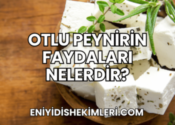 Otlu Peynirin Faydaları Nelerdir?