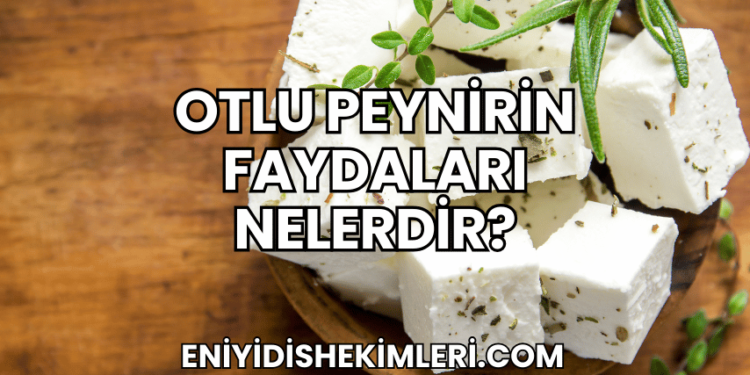 Otlu Peynirin Faydaları Nelerdir?