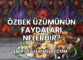 Özbek Üzümünün Faydaları Nelerdir?