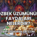 Özbek Üzümünün Faydaları Nelerdir?