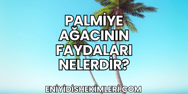 Palmiye Ağacının Faydaları Nelerdir?